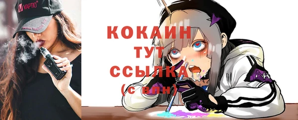 стафф Алексин