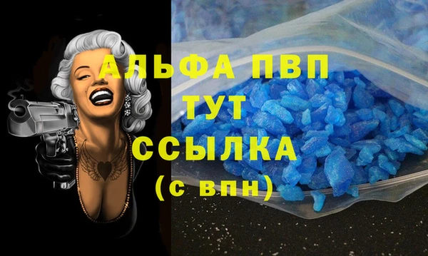 стафф Алексин
