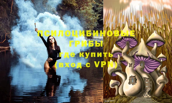 PSILOCYBIN Алексеевка