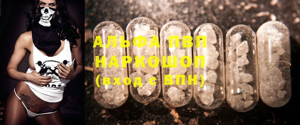 PSILOCYBIN Алексеевка