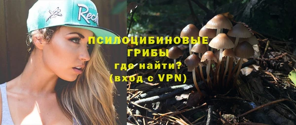 PSILOCYBIN Алексеевка