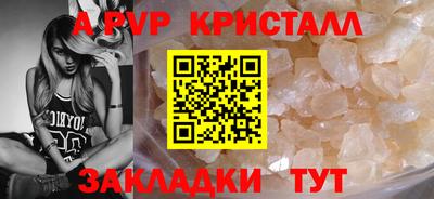 спиды Аргун