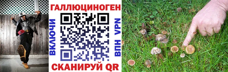 Псилоцибиновые грибы Psilocybe Аргун