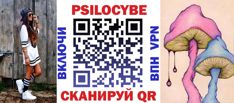 хочу наркоту  Аргун  Псилоцибиновые грибы Cubensis 