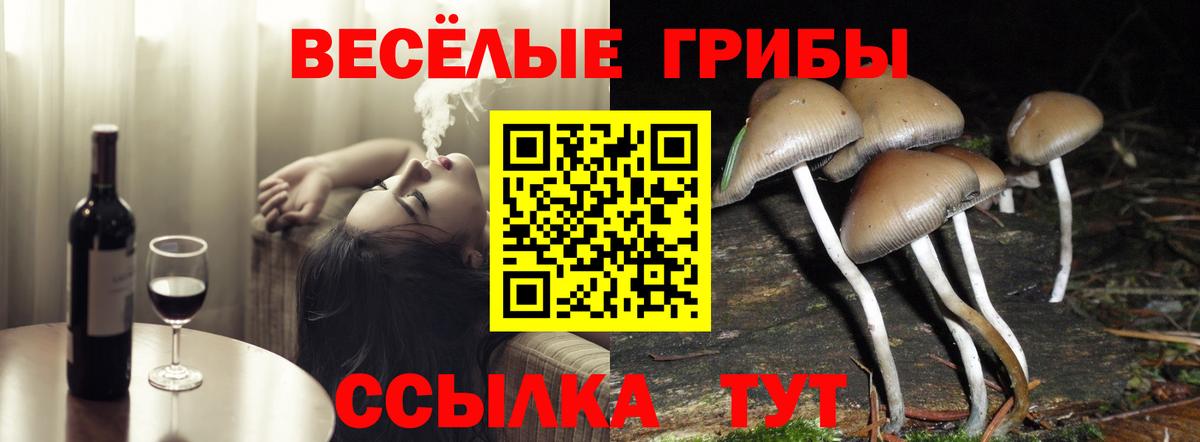 Галлюциногенные грибы Psilocybe  купить закладку  Аргун  Вход с VPN 