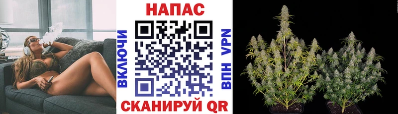 Каннабис VHQ  даркнет формула  Аргун 